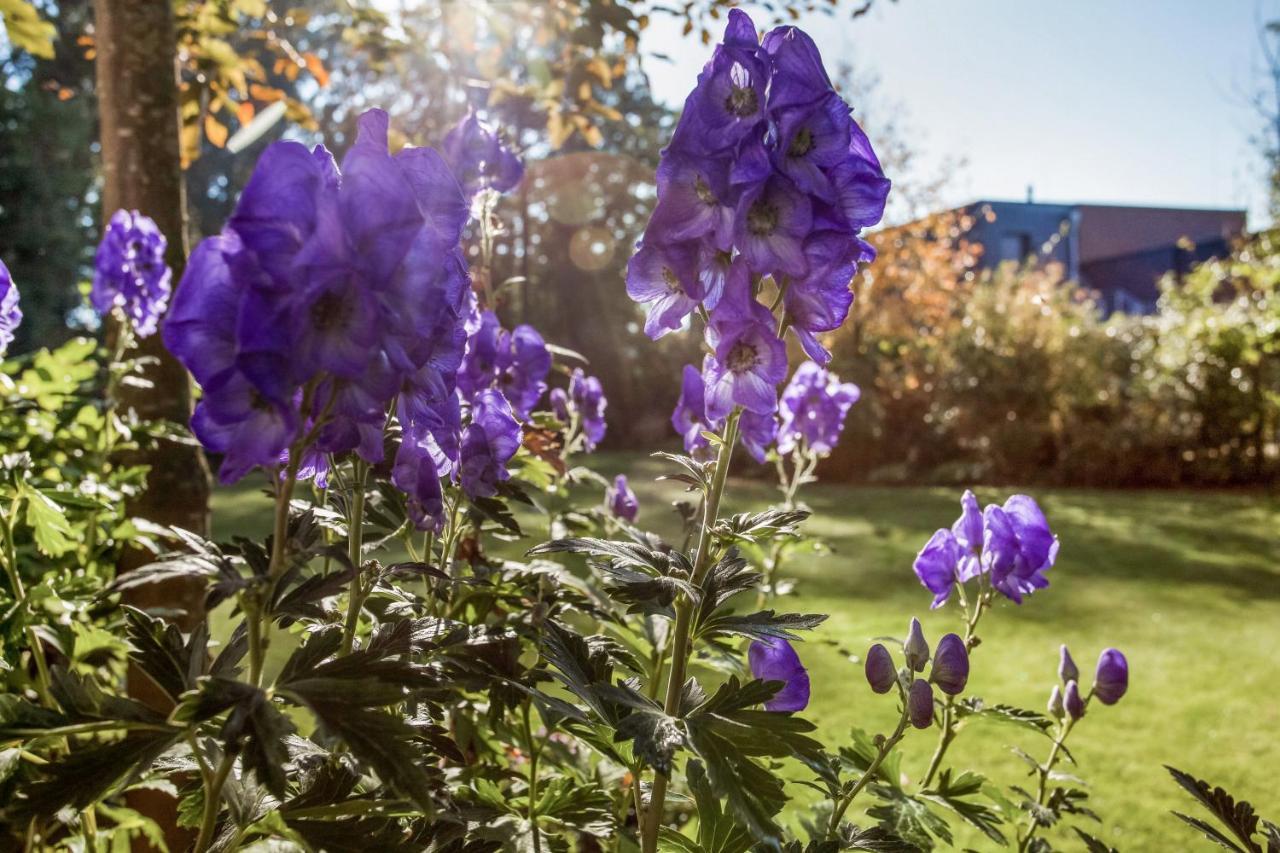 alte Molkerei Bed & Breakfast Lindern Eksteriør bilde